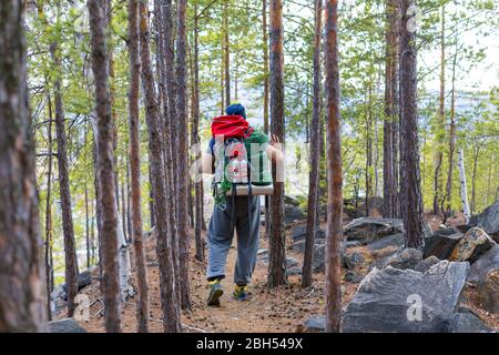 Vue arrière d'un touriste de randonnée à pied à travers les arbres dans les hautes terres. Mode de vie actif et concept de santé. Banque D'Images