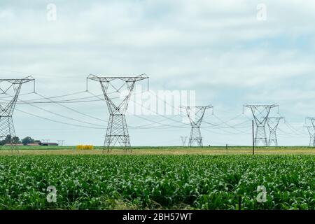 Électricité haute tension ou pylônes et câbles électriques dans un environnement agricole ou une zone agricole en Afrique du Sud concept d'énergie en Afrique Banque D'Images