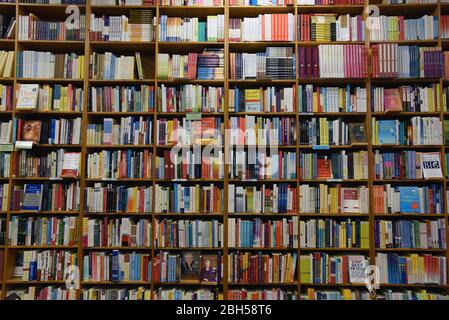 Un mur de librairies rempli de livres, utilisé et nouveau, à la librairie Russell Books à Victoria, en Colombie-Britannique, au Canada. Banque D'Images