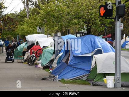 Les tentes se croent les unes à côté des autres dans une ville non officielle de tente sans abri sur l'avenue Pandora, au centre-ville de Victoria, en Colombie-Britannique, au Canada, sur Thur Banque D'Images