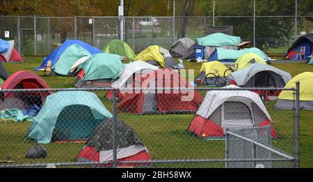 Les tentes sont espacées de six pieds dans une ville officielle de tente d'campement sans domicile à Topaz Park, à Victoria, en Colombie-Britannique, au Canada, le jeudi 23 avril Banque D'Images