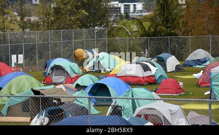 Les tentes sont espacées de six pieds dans une ville officielle de tente d'campement sans domicile à Topaz Park, à Victoria, en Colombie-Britannique, au Canada, le jeudi 23 avril Banque D'Images