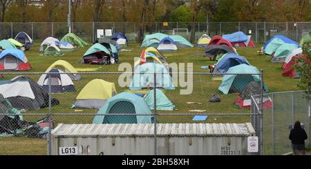 Les tentes sont espacées de six pieds dans une ville officielle de tente d'campement sans domicile à Topaz Park, à Victoria, en Colombie-Britannique, au Canada, le jeudi 23 avril Banque D'Images