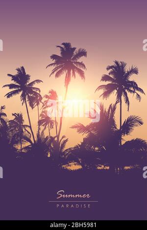 Magnifique coucher de soleil dans la forêt tropicale de palmiers réaliste paysage illustration vectorielle EPS10 Illustration de Vecteur