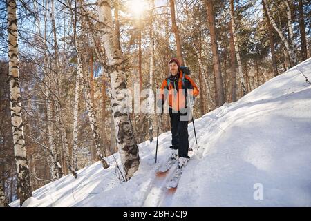 Dans l'homme veste orange sur ski poudreuse fraîche au winter forest Banque D'Images
