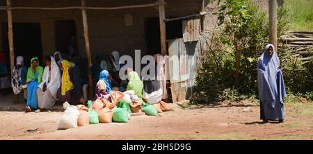 Femme musulmane éthiopienne dans la région d'Oromia du Sud. Banque D'Images