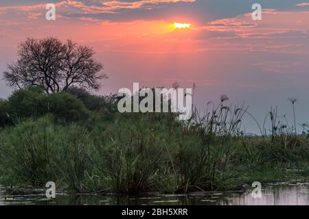 Paysage de coucher de soleil, Parc national Nkasa Rupara (Mamili), Caprivi Strip, Namibie, Afrique Banque D'Images