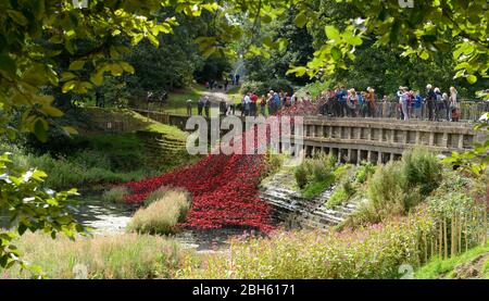 Coquelicots : Wave, une sculpture de Paul Cummins et Tom Piper exposée à Bretton Park, Yorkshire Sculpture Park Banque D'Images