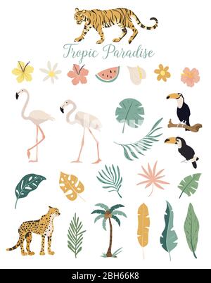 Tropic paradis animaux fleurs et plantes. Ensemble vectoriel de feuilles tropicales. Palmier, monstère, feuille de banane, hibiscus, fleurs de plumeria. Illustration de Vecteur