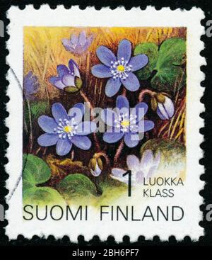 POLTAVA, UKRAINE - 24 avril 2020. Cachet vintage imprimé en Finlande vers 1992 montrer la fleur Banque D'Images