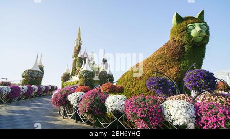 Dubaï, Émirats arabes Unis - 14 décembre 2019 : jardin Miracle de Dubaï aux Émirats arabes Unis. Il a plus de 45 millions de fleurs. Banque D'Images