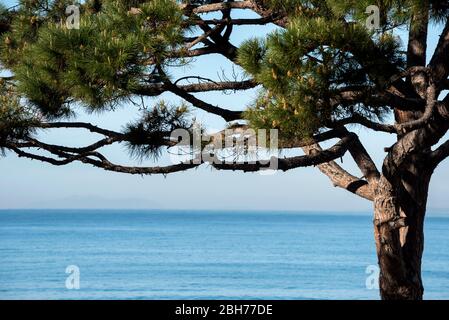 Platja dels Capellans, Camí de Ronda de Salou, Cap de Salou-El Roquer, Salou, Tarragonès, Tarragone, Catalogne Banque D'Images