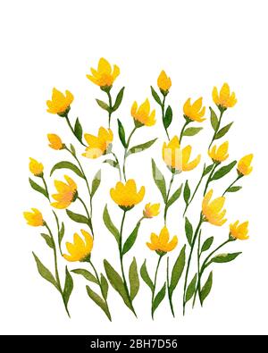 petites fleurs jaunes sauvages, illustration de printemps aquarelle avec fleurs jaunes simples, décoration fleurie jaune mignonne Banque D'Images