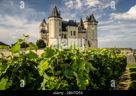 Château de Saumur surplombant la Loire et la vallée. Banque D'Images