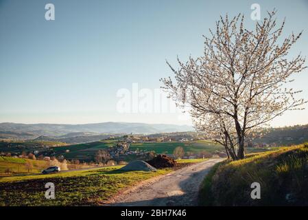 Cerisier Fleuri Dans Le Paysage Rural De Printemps Dans Lumiere Chaude Orange Lever Soleil Beau Paysage Editer L Espace Pour Citation Photo Stock Alamy
