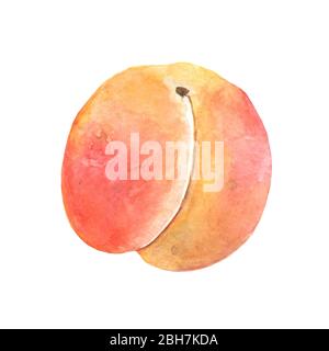 Pêche. Fruits sucrés. ensemble d'icônes tridimensionnelles. Illustration réaliste Banque D'Images