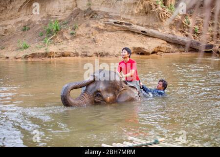 L'homme thaïlandais tour un éléphant pour prendre un bain à la rivière Kwae dans le site de camp d'éléphant de Kanchanaburi. Kanchanaburi, Thaïlande 15 février 2012 Banque D'Images