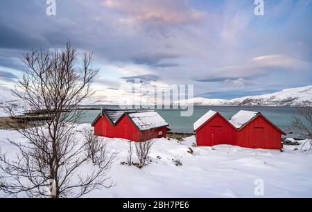Paysage hivernal avec ciel spectaculaire sur l'île de Kvaloeya près de Tromsoe dans le nord de la Norvège, paysage Banque D'Images