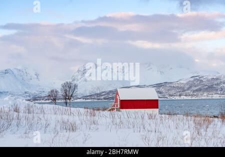 Paysage d'hiver à l'aube polaire sur l'île de Kvaløya et le fjord près de Tromso, au nord de la Norvège Banque D'Images