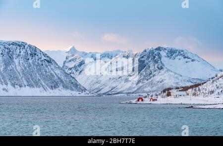 Paysage d'hiver à l'aube polaire sur l'île de Kvaløya et le fjord près de Tromso, au nord de la Norvège Banque D'Images