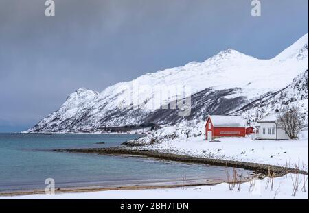 Paysage d'hiver à l'aube polaire sur l'île de Kvaløya et le fjord près de Tromso, au nord de la Norvège Banque D'Images