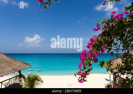 La Samanna plage Saint Martin / Sint Maarten Banque D'Images