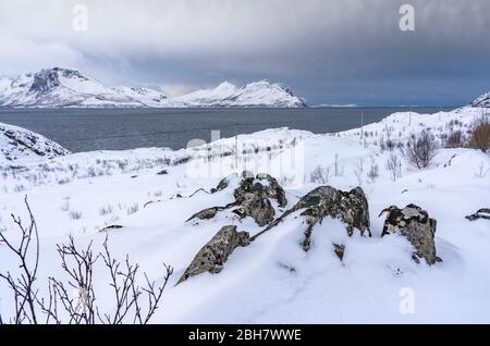 Paysage d'hiver à l'aube polaire sur l'île de Kvaløya et le fjord près de Tromso, au nord de la Norvège Banque D'Images