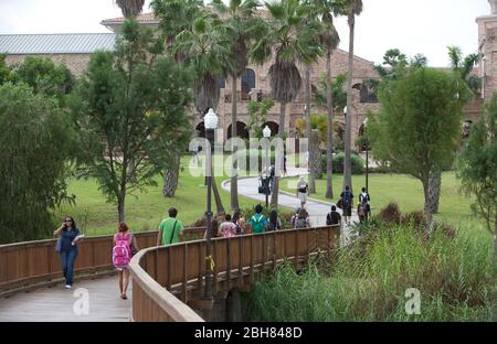 Brownsville, Texas, États-Unis, 8 octobre 2009: Principalement des étudiants hispaniques de l'université marchant vers des classes avec les écoles d'éducation et de commerce dans l'arrière-plan à l'Université du Texas-Brownsville/Texas SouthMOST College campus. ©Bob Daemmrich Banque D'Images