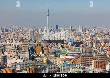 Le Japon, Honshu, Tokyo, Toyosu Salon Skyline Banque D'Images