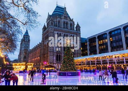 L'Angleterre, Londres, South Kensington, le Musée d'Histoire Naturelle patinoire, patinage Banque D'Images