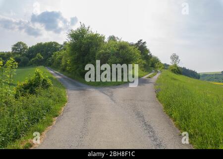 Route à forked au printemps, Königheim, Bade-Wurtemberg, Allemagne Banque D'Images