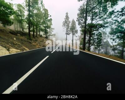 Route à long chemin à la montagne avec forêt de pins et nuages de brouillard devant et ciel gris clair - point de vue au sol avec asphalte noir et lignes blanches - concept de conduite et de voyage Banque D'Images