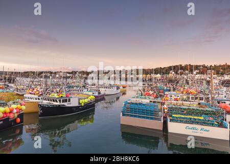 Le Canada, la Nouvelle-Écosse, Digby, zone portuaire, plus grande flotte de bateaux de pêche du pétoncle, Dawn Banque D'Images