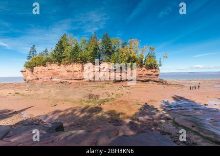 Le Canada, la Nouvelle-Écosse, Minasville, parc de Burncoat Head sur le bassin Minas, petite île à marée basse Banque D'Images