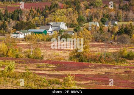 Canada, de la Nouvelle-Écosse, Salem, champs d'automne Banque D'Images