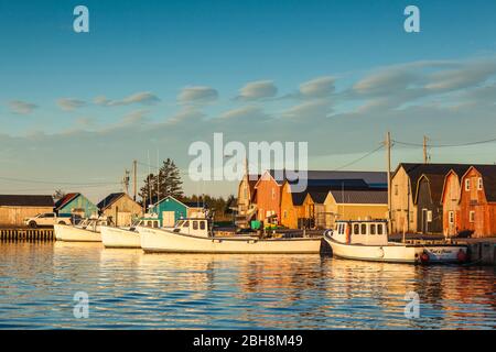 Le Canada, l'Île du Prince Édouard, de Malpeque, petit port de pêche, l'aube Banque D'Images