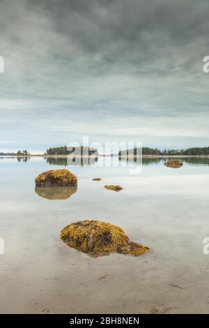 États-Unis, Maine, Mountainville, automne sur Penobscot Bay Banque D'Images