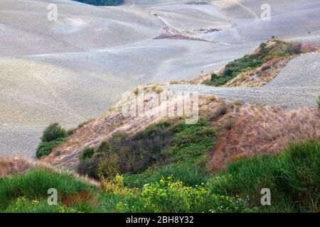 Landschaft in der Crete Senesi Toskana Banque D'Images