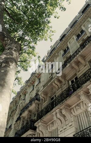 Avenue de la Bourdonnais avec maisons résidentielles et arbres Banque D'Images