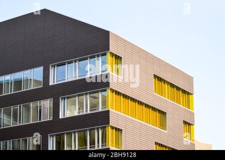 Fenêtres jaunes colorées dans un bâtiment moderne d'architecture. Les volets de fenêtres sont jaunes sur un mur en bois sombre avec un ciel bleu. Banque D'Images