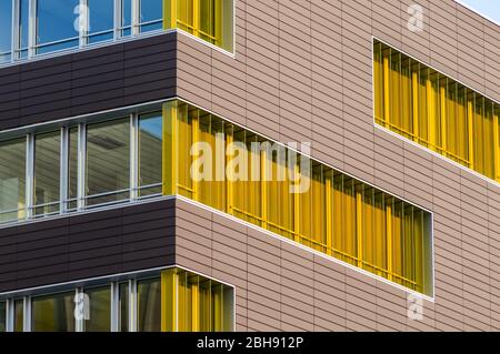 Fenêtres jaunes colorées dans un bâtiment moderne d'architecture. Les volets de fenêtres sont jaunes sur un mur en bois sombre avec un ciel bleu. Banque D'Images