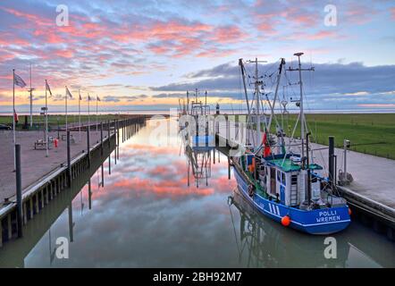 Kutterhafen sur la mer des Wadden avec des fraises à crevettes, Wremen, station balnéaire de la mer du Nord, Land Wursten, estuaire du Weser, côte de la mer du Nord, Basse-Saxe, Allemagne du Nord, Allemagne Banque D'Images