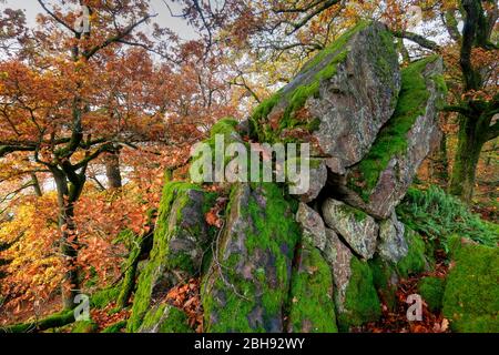 Rochers sur le Maunert à Kastel-Staadt, Saartal, Rhénanie-Palatinat, Allemagne Banque D'Images