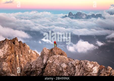 L'homme solitaire se trouve au sommet d'une crête de montagne, sur le fond une mer de nuages autour de la chaîne de montagne d'Agner, groupe Pale di San Martino, vue de Costabella, Dolomites, Italie Banque D'Images