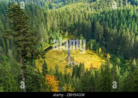 Allemagne, Bade-Wurtemberg, Freudenstadt-Kniebis, Ellbachsee, Karsee glacial, entouré de forêt, vu d'Ellbachseeblick à Kniebis dans la Forêt Noire du nord. Banque D'Images