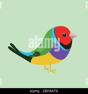 Illustration d'un joli gouldian finch sur un fond vert doux. C'est un oiseau mâle. Illustration de Vecteur