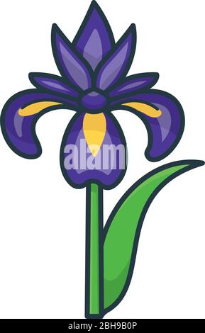 Illustration vectorielle isolée de fleur d'iris violette et jaune pour la journée d'iris le 8 mai. Magnifique symbole de couleur fleur de printemps. Illustration de Vecteur