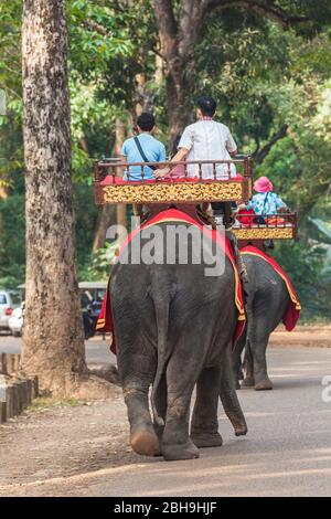 Cambodge, Angkor, Angkor Thom, touristes qui voyagent des éléphants, pas de rejets Banque D'Images