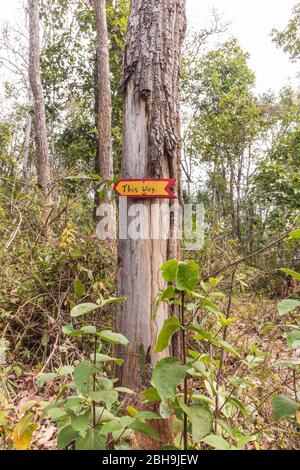 Laos, Sainyabuli, Elephant conservation Center, signes, de cette façon Banque D'Images