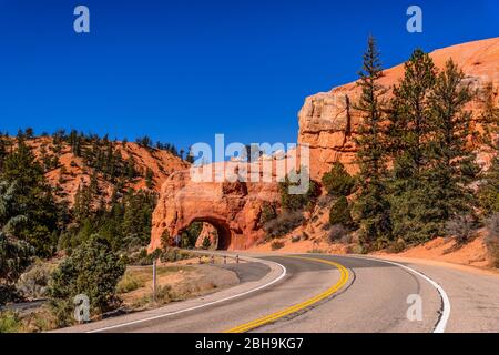 États-Unis, Utah, Comté de Garfield, Forêt nationale de Dixie, Panguitch, Red Canyon, route panoramique 12 Banque D'Images